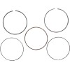 Set inele 1.00MM KAW 750 WSM PERFORMACE PARTS 51-258-07