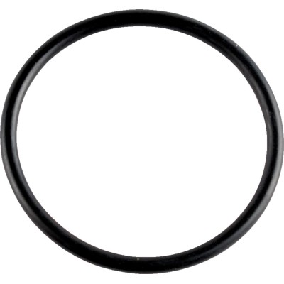 Inel O capac ax cu came WSM PERFORMACE PARTS 008-600-01