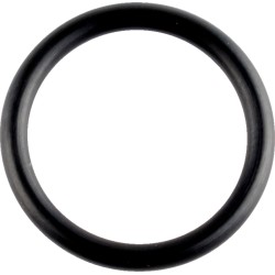 Inel O pentru carter WSM PERFORMACE PARTS 008-600-04 Inel O pentru carter WSM PERFORMACE PARTS 008-600-04