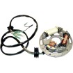 Placă stator YAMAHA WSM PERFORMACE PARTS 004-240 Placă stator YAMAHA WSM PERFORMACE PARTS 004-240 thumb