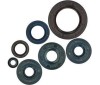 

                Crankshaft oil seals